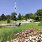 donaupark--20240619_101557