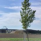 Zum Beitrag hi_busch_ried--20261007_1136-0070a