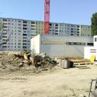 Zum Beitrag hi_schrebergasse--20260731_1709-0005