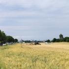 Zum Beitrag hi_suessenbrunner_strasse--20260618_0918-0006x