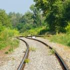 Zum Beitrag rundumadum--20200807-404931