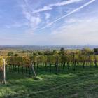Zum Beitrag wien_bisamberg--20251020_1521-0001