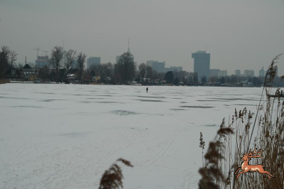 db_bilder/400/alte_donau--20120214-004.png